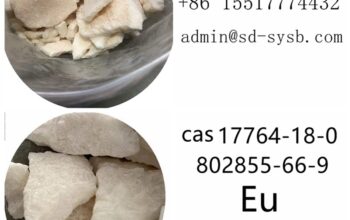 cas 17764-18-0 Eutylone The most popular good pri