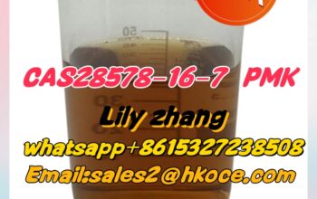 28578-16-7 PMK ethyl glycidate ( new PMK powder)