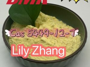 5449-12-7 BMK Glycidic Acid (sodium salt) FACTORY