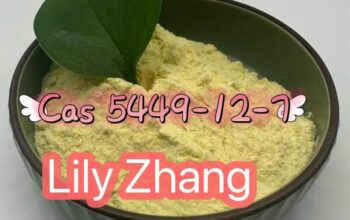 5449-12-7 BMK Glycidic Acid (sodium salt) FACTORY