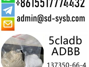 cas 137350-66-4 5cladb/5cl-adb-a/5cladba The most