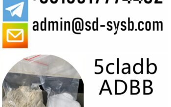 cas 137350-66-4 5cladb/5cl-adb-a/5cladba The most