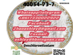 cas 40054-73-7 Deschloroetizolam superior quality