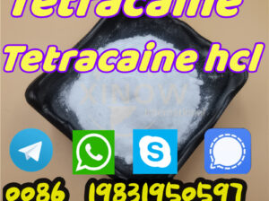 94-24-6 Tetracaine Powder 99% Purity CAS