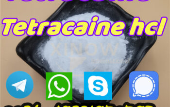 94-24-6 Tetracaine Powder 99% Purity CAS