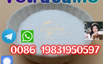 136-47-0-Tetracaine Powder 99% Purity CAS