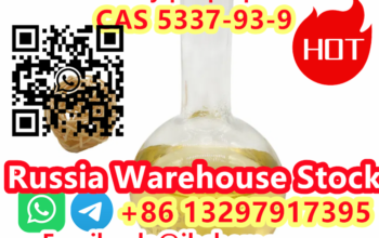CAS No. 5337-93-9 4′-Methylpropiophenone +86132979