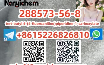 288573-56-8 tert-butyl 4-(4-fluoroanilino)piperidi