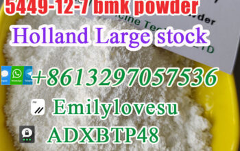 CAS5449-12-7 bmk powder factory price