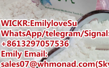 PMK powder cas 28578-16-7 PMK Ethyl glycidate pow