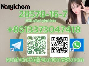 28578-16-7 PMK ethyl glycidate