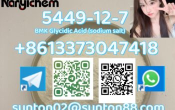 5449-12-7 BMK Glycidic Acid (sodiu