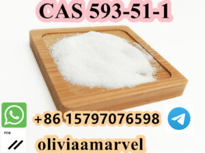 Excellent offer Methylamine hydrochloride