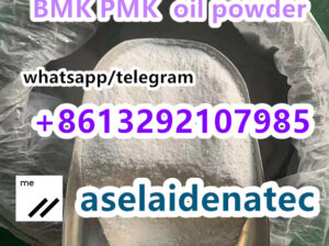 CAS 28578-16-7 Pmk Oil Pmk Powder