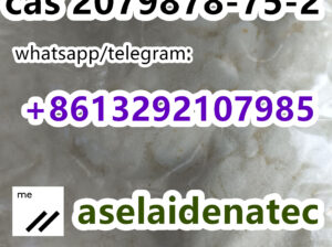 2-(2-chlorophenyl) nitCas 2079878-75-2 best price