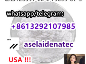 CAS 125541-22-2 with Safe Delivery to US/Canada