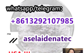 CAS 125541-22-2 with Safe Delivery to US/Canada