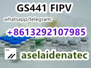 fipv gs441 whatsapp:+8613292107985