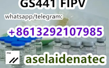 fipv gs441 whatsapp:+8613292107985