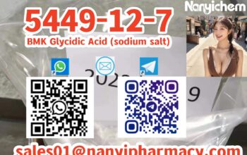 5449-12-7 BMK Glycidic Acid (sodium salt)