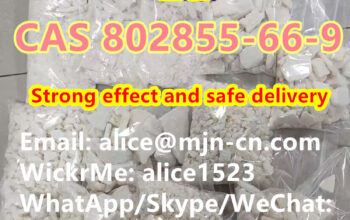 河北省石家庄市