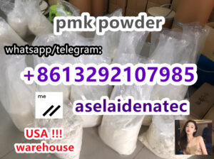 cas 285787-16-7 20320-59-6 bmk pmk powder