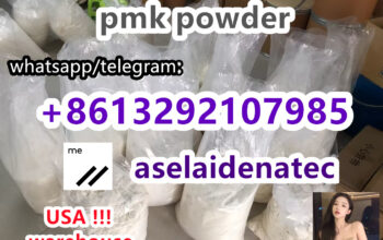cas 285787-16-7 20320-59-6 bmk pmk powder