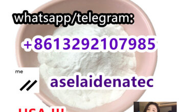 CAS 125541-22-2 with Safe Delivery to US/Canada
