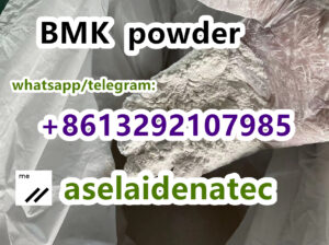 CAS 28578-16-7 Pmk Oil Pmk Powder