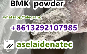 CAS 28578-16-7 Pmk Oil Pmk Powder