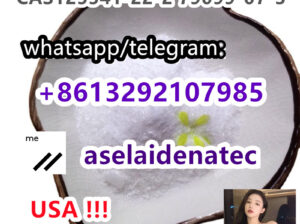 CAS 125541-22-2 with Safe Delivery to US/Canada