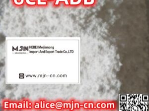 河北省石家庄市