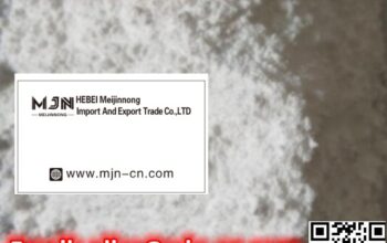 河北省石家庄市