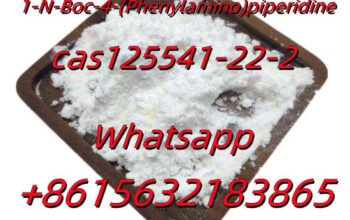 1-N-Boc-4-(Phenylamino)piperidine CAS125541-22-2