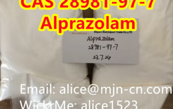 河北省石家庄市