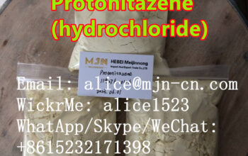 CAS 119276-01-6 PROTONITAZENE High purity and safe