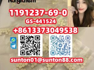 1191237-69-0 GS-441524