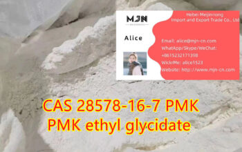 CAS 28578-16-7 Pmk Oil Pmk Powder