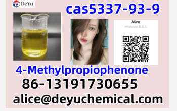CAS 5337-93-9 4-Methylpropiophenone with Best Pr