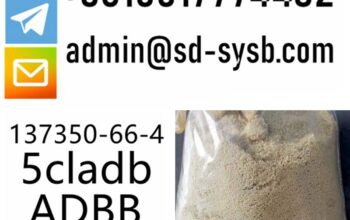 cas 137350-66-4 5cladb/5cl-adb-a/5cladba Hot Sell