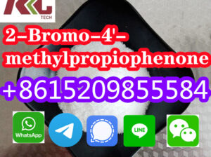 Bromo-4′-methylpropiophenone Cas 1451-82-7 الشرك