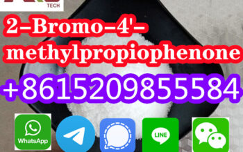 Bromo-4′-methylpropiophenone Cas 1451-82-7 الشرك
