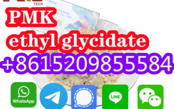 PMK ethyl glycidate Cas 28578-16-7 مورد صيني عالي