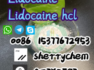 Lidocaine White Powder with Best Price H