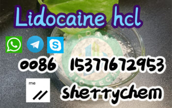 Lidocaine White Powder with Best Price H
