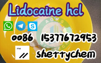 99% Lidocaine Hydrochloride/Lidocaine B