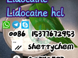 137-58-6 99% Lidocaine Hydrochloride/Lidocaine B