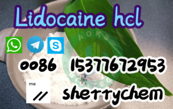 137-58-6 99% Lidocaine Hydrochloride/Lidocaine B
