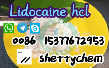 White powder Lidocaine cas 137-58-6
