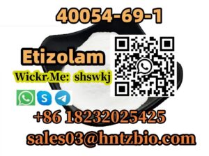 40054-69-1 Etizolam